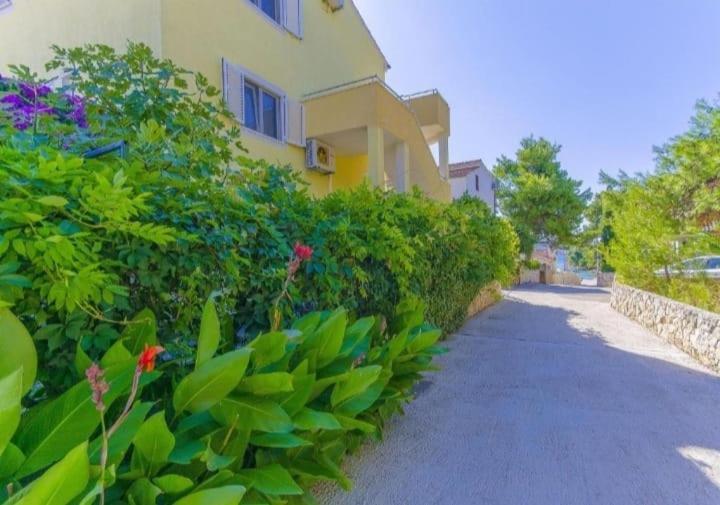 Apartments Petrovic Рогозниця Екстер'єр фото