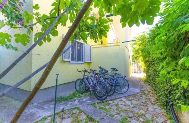 Apartments Petrovic Рогозниця Екстер'єр фото