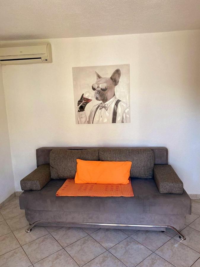 Apartments Petrovic Рогозниця Екстер'єр фото